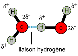Cohsion dans un solide et dissolution des composs ioniques : image 2