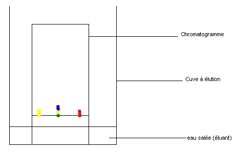 Identification d'une espce chimique : image 2