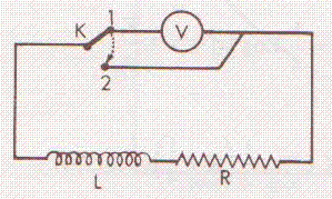 Circuit RL