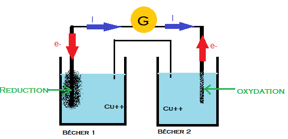 Pile de concentration, o est anode et cathode?