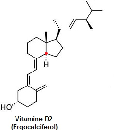 Strochimie Vitamine D2