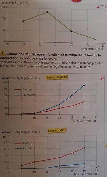 Le dioxyde de carbone et la levure
