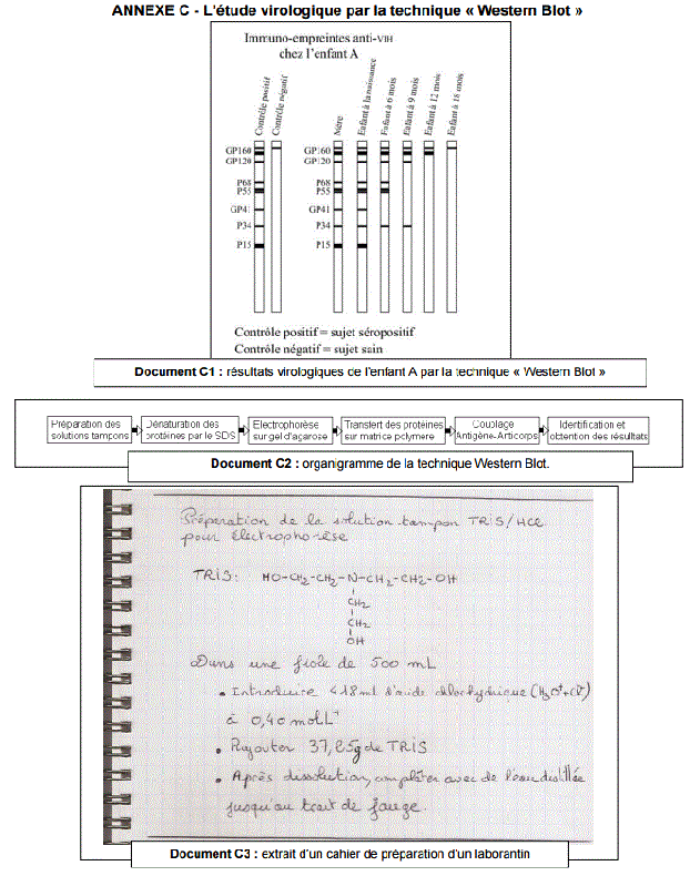 Sujet et correction Physique Chimie Bac STL Biotechnologies 2016 Polynsie : image 13