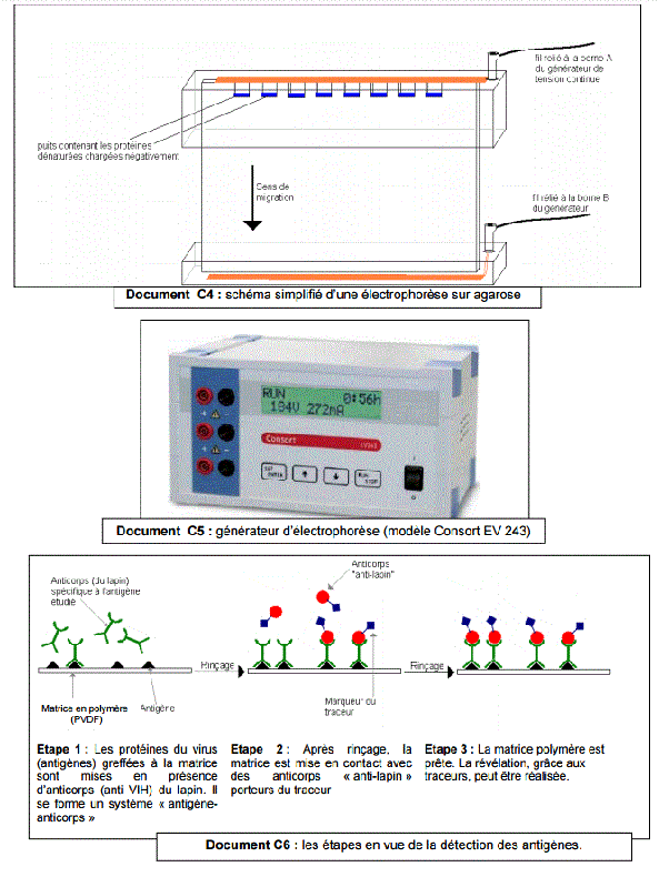 Sujet et correction Physique Chimie Bac STL Biotechnologies 2016 Polynsie : image 14