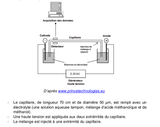 Sujet 0 de l'enseignement de spcialit STL-Physique, Chimie, M athmatiques : image 12