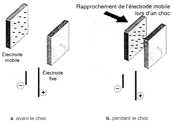 Bac Scientifique Mtropole Juin 2009 - terminale : image 11