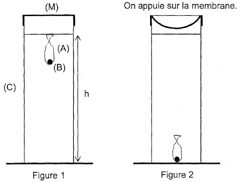 Bac Scientifique Liban Mai 2012 - terminale : image 7