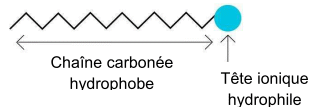 Bac Scientifique Polynsie Franaise Juin 2014 - terminale : image 9