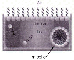 Bac Scientifique Polynsie Franaise Juin 2014 - terminale : image 10