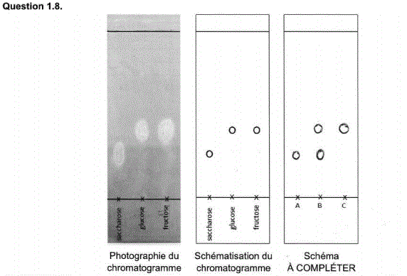 Sujet et correction Physique Chimie Bac S 2016 Mtropole : image 24