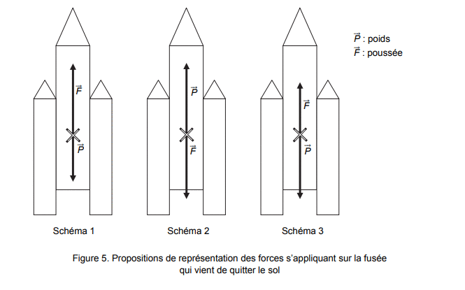 Bac S obligatoire et spcialit Mtropole 2019 : image 19