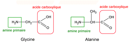 Sujet et correction Bac S 2016 Physique Chimie Liban : image 24