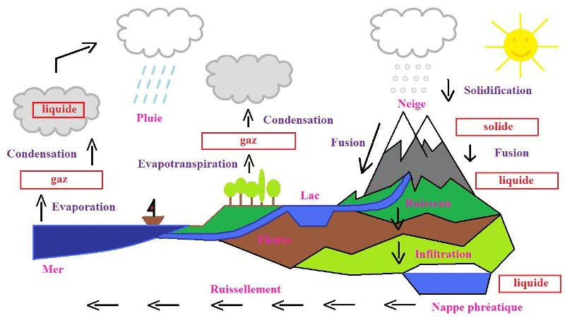 L'eau dans notre environnement et dans l'alimentation : image 1