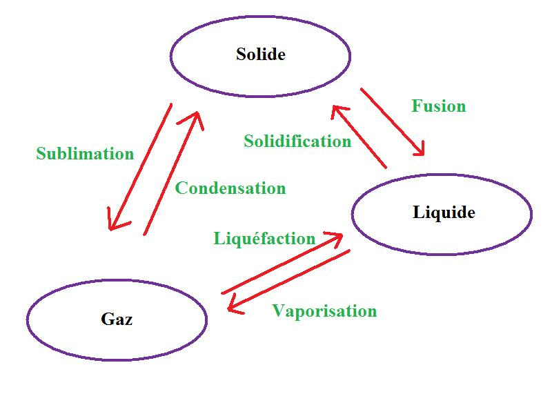 L'eau dans notre environnement et dans l'alimentation : image 2