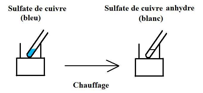 L'eau dans notre environnement et dans l'alimentation : image 3