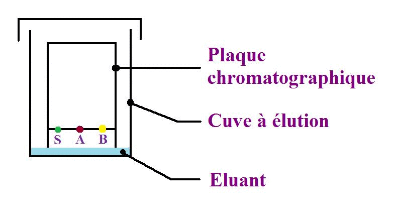 Mlanges homognes et corps purs : image 2