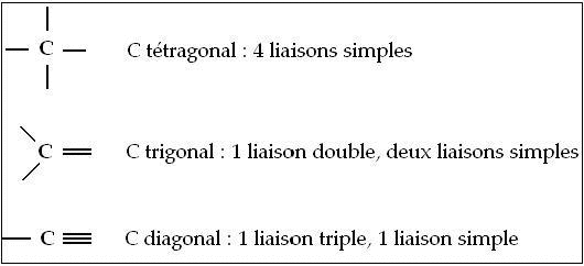 Structure des entits organiques : image 10