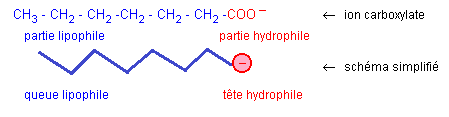 Solubilit et miscibilit d'espces chimiques : image 2