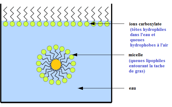 Solubilit et miscibilit d'espces chimiques : image 3