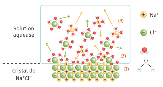 Cohésion dans un solide et dissolution des composés ioniques : image 3