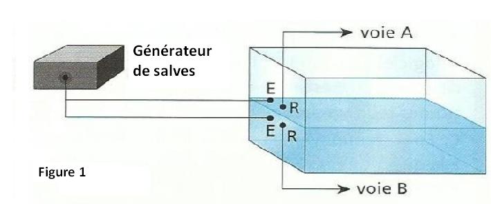 Exercice de mesure de la célérité du son dans l'eau : image 1