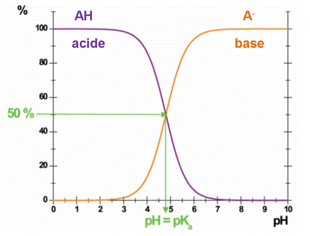 Equilibre des réactions acido-basiques : image 2