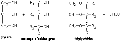 Hydrolyse basique d'un ester, le cas des savons : image 1