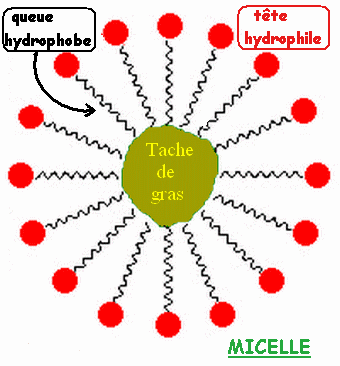 Hydrolyse basique d'un ester, le cas des savons : image 4