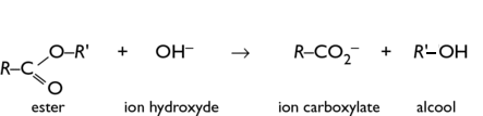 Hydrolyse basique d'un ester, le cas des savons : image 5