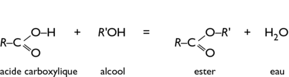 Synthse et hydrolyse des esters : image 1