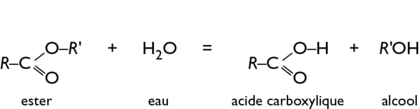 Synthse et hydrolyse des esters : image 2