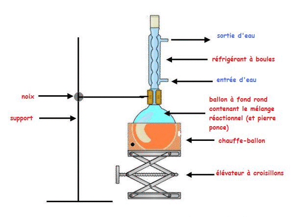 Synthse et hydrolyse des esters : image 3