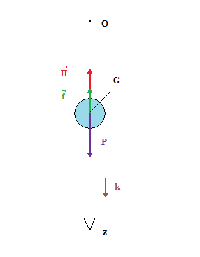 Chute verticale d'un solide dans un fluide : image 3