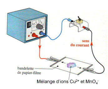 Ions et conduction dans les solutions : image 1