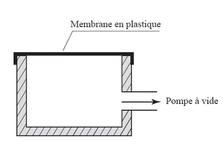 Du macroscopique au microscopique Merci de repondre!