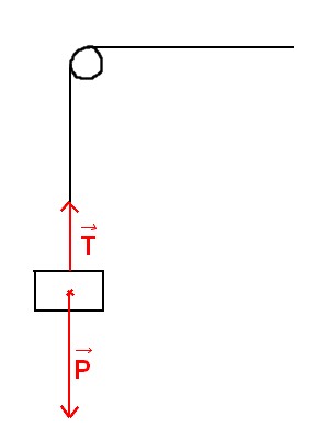 [Physiques] Travail des forces