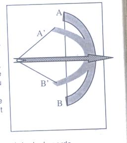 Energie potentielle