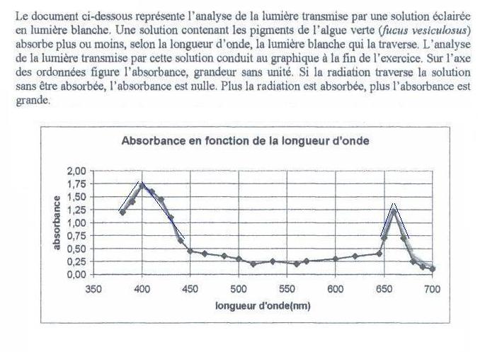 Quantit de matire