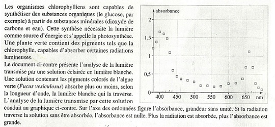 Quantit de matire