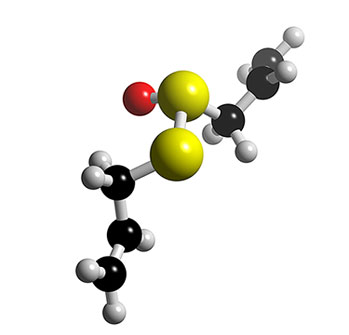 qui connait la formule de la molcule d\'ail