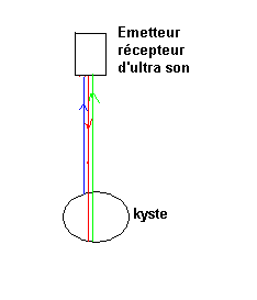 Physique 