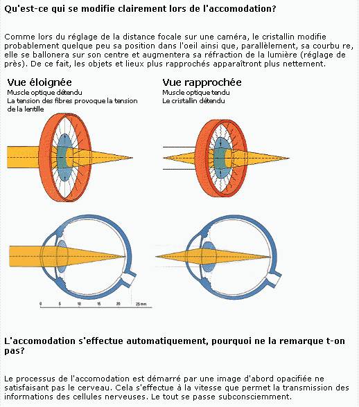 Vergence et oeil