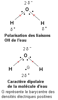 Questionnaire concernant les liaisons covalentes et molcul