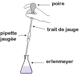 petite question sur l\'erlenmeyer