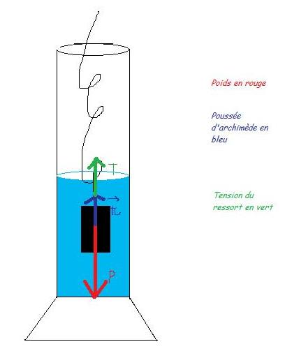 Pousse d\'Archimde et force de tension d\'un ressort