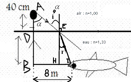 exo rfraction