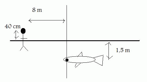 exo rfraction