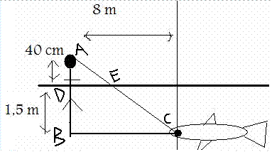 exo rfraction