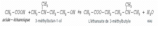 Synthse de l\'actate d\'isoamyle