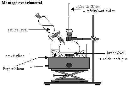 Synthse paractamol
